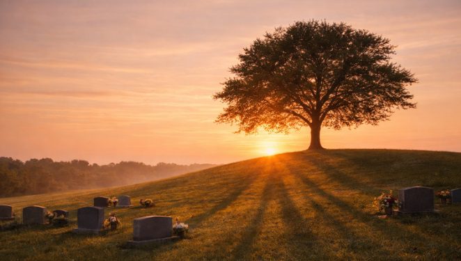 A lone tree on a hill at sunset with nearby headstones memorial park cemetery near Glenpool, OK